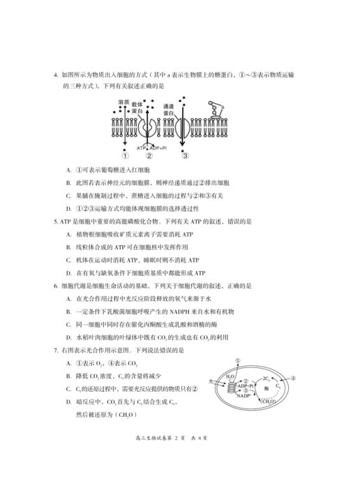 自然科學研究和試驗發展——以生物學研究為例